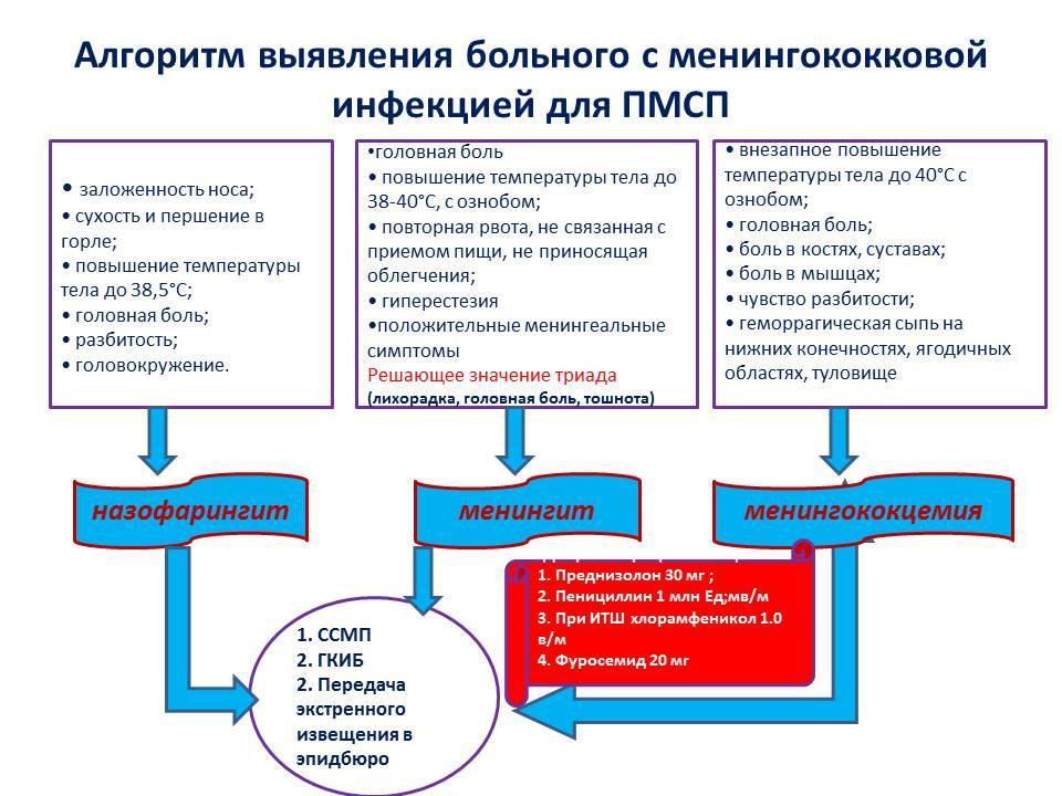 Алгоритм диагностических и тактических мероприятий  при подозрении на менингококковую инфекцию 